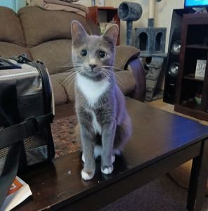 Meet your Posher, Deedee